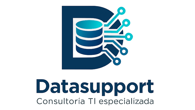 Datasupport Limitada Logo